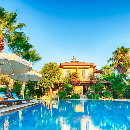 Guest house Alize 3*