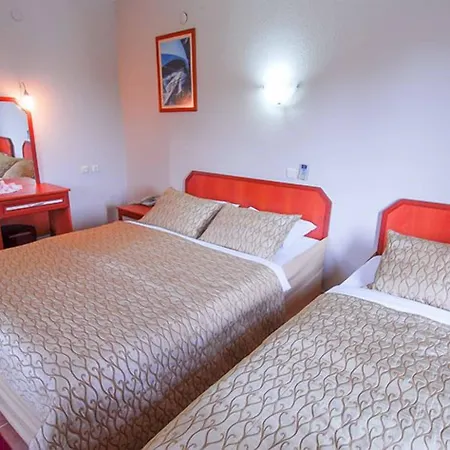 Pensiune Alize 4*